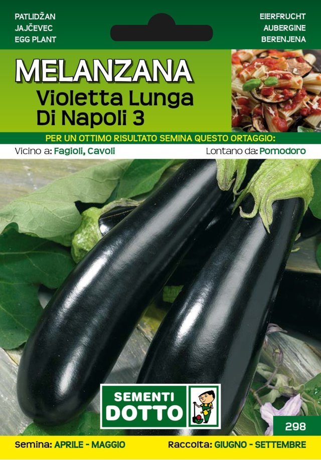 Melanzana Violetta Lunga di Napoli 3