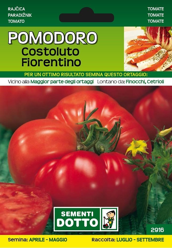 Pomodoro Costoluto Fiorentino