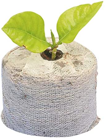 Pastiglie in Fibra di Cocco - Giardango