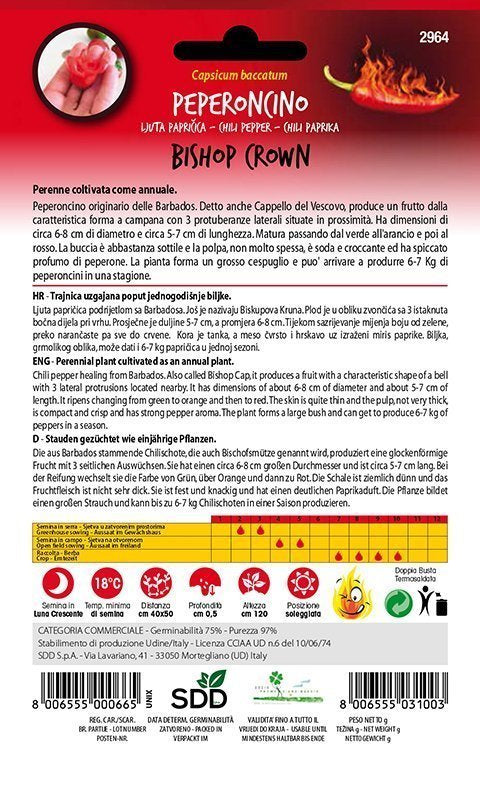 Peperoncino Bishop Crown