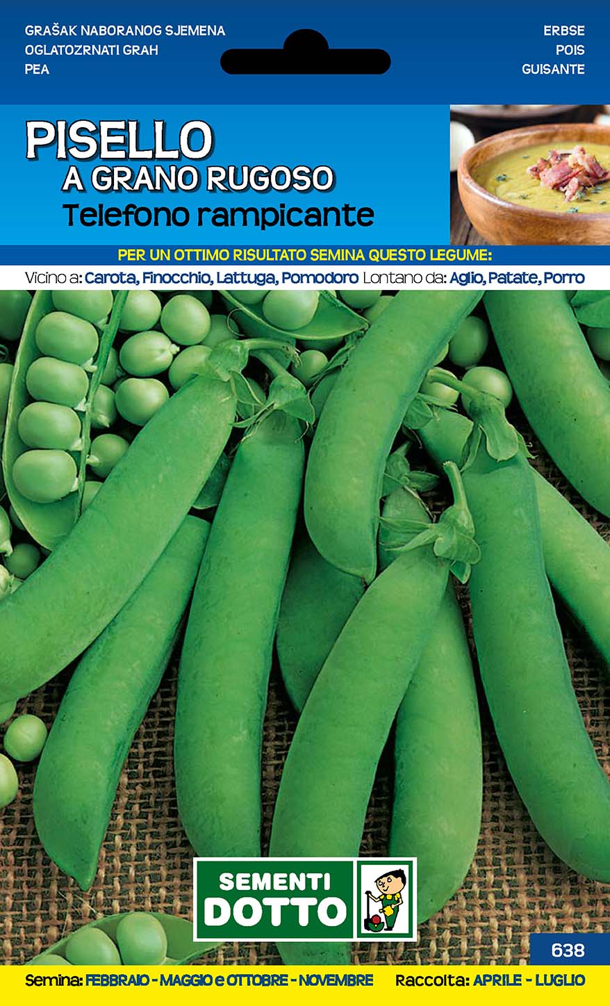 Pisello Telefono Rampicante