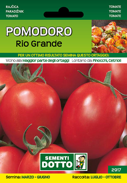 Pomodoro Rio Grande