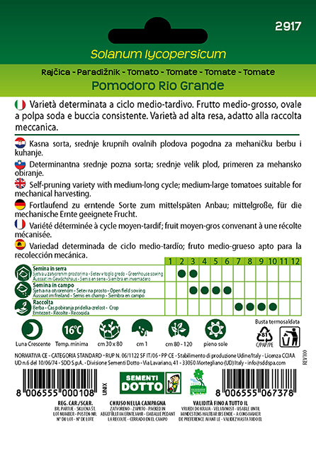 Pomodoro Rio Grande