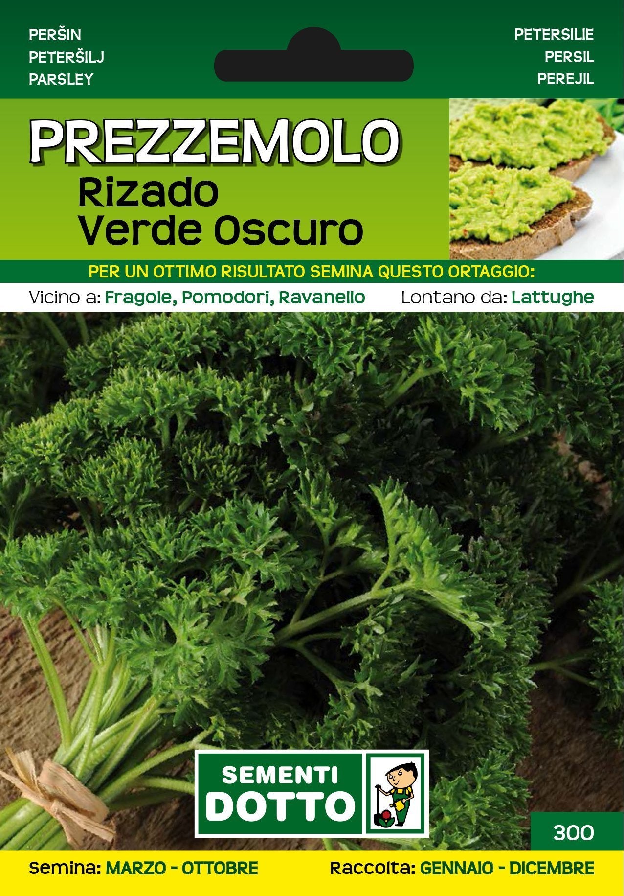 Prezzemolo Rizado Verde Oscuro