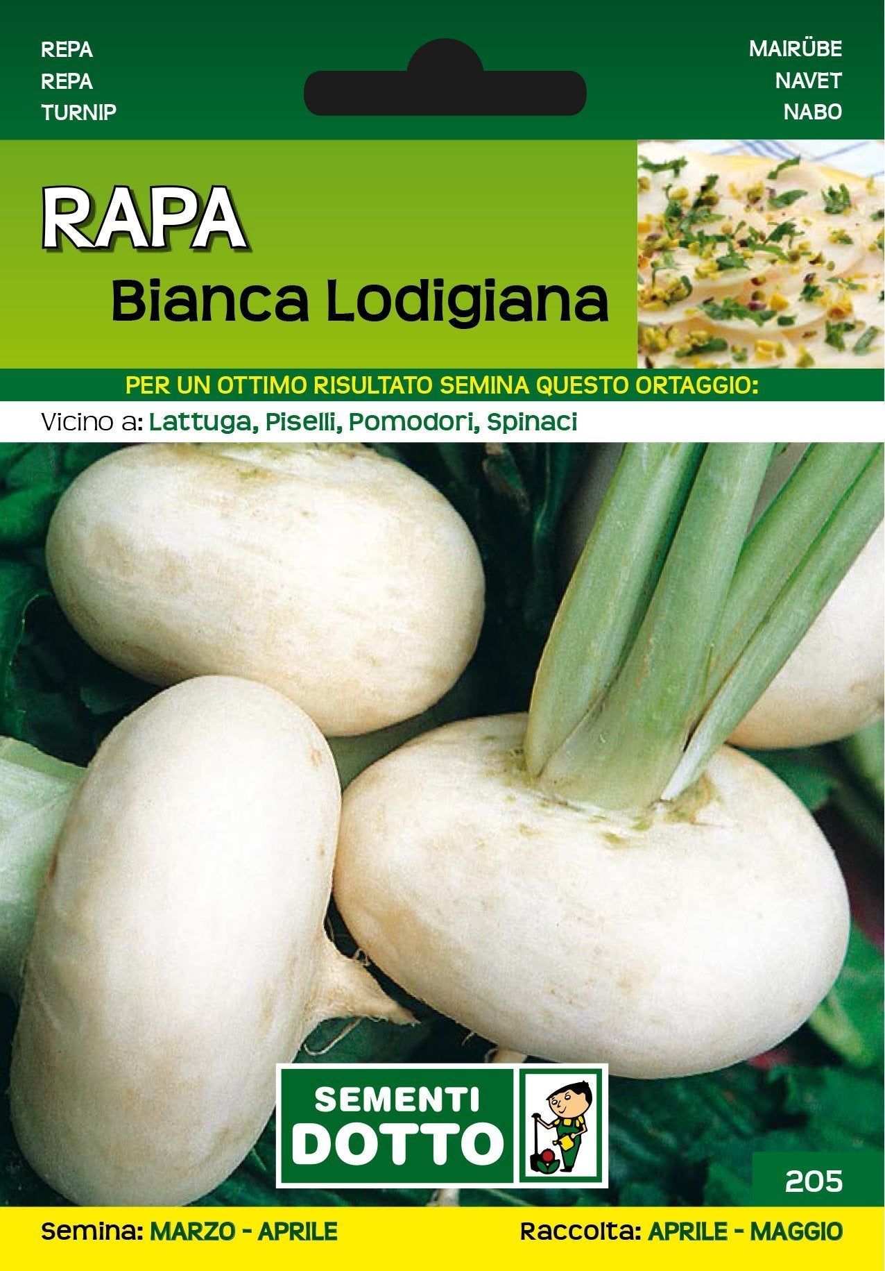 Rapa Bianca Lodigiana