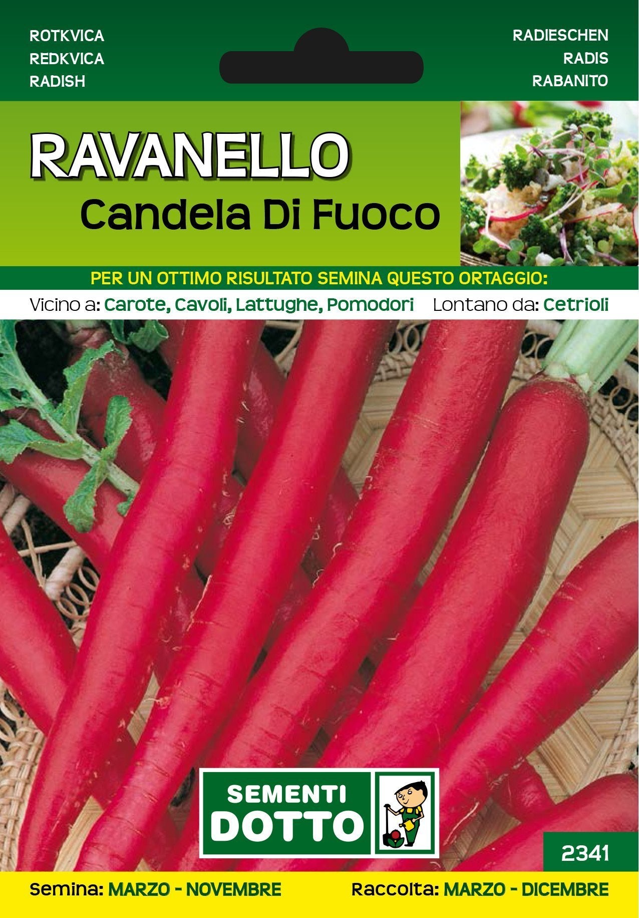 Ravanello Candela di Fuoco