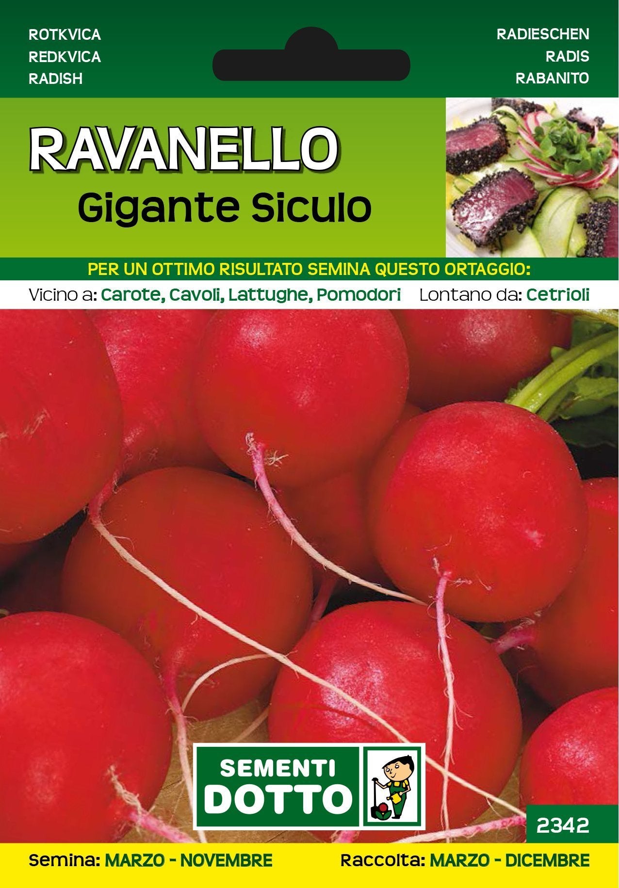 Ravanello Gigante Siculo