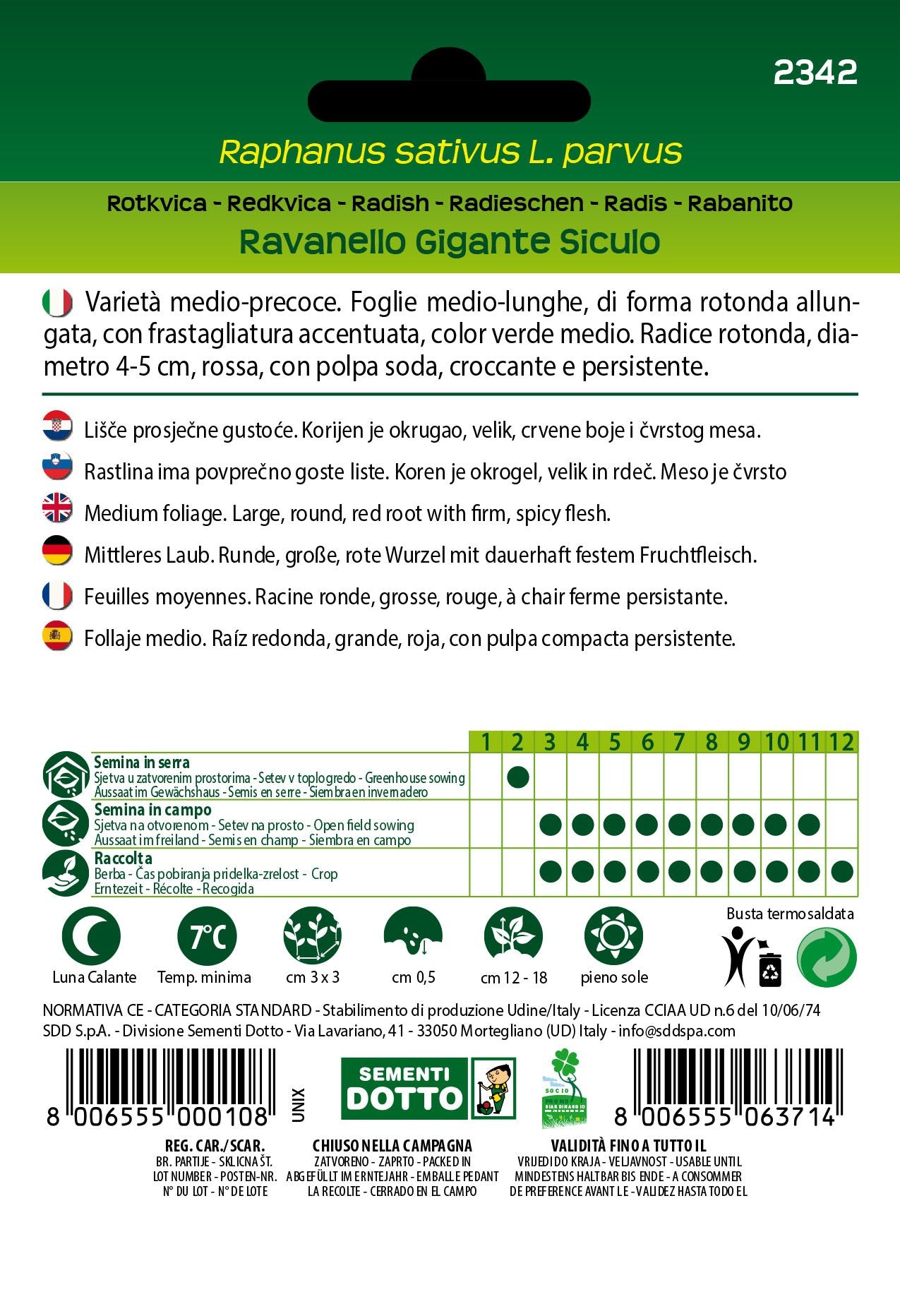 Ravanello Gigante Siculo