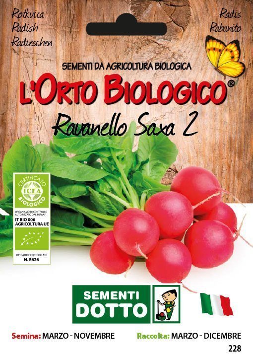 Ravanello Saxa 2 - Giardango