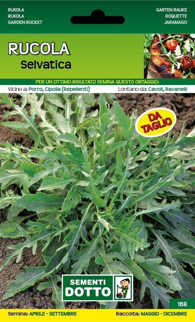 Rucola Selvatica