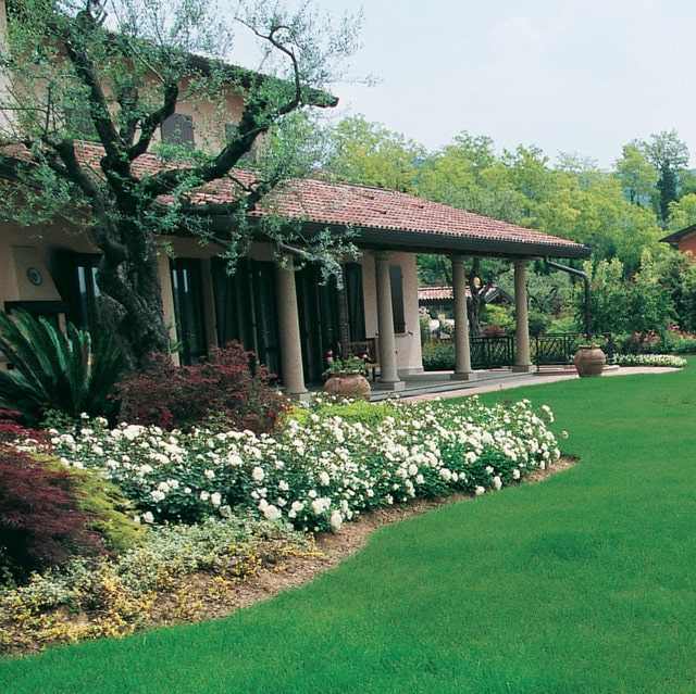 Spirali Antizanzare - Giardango