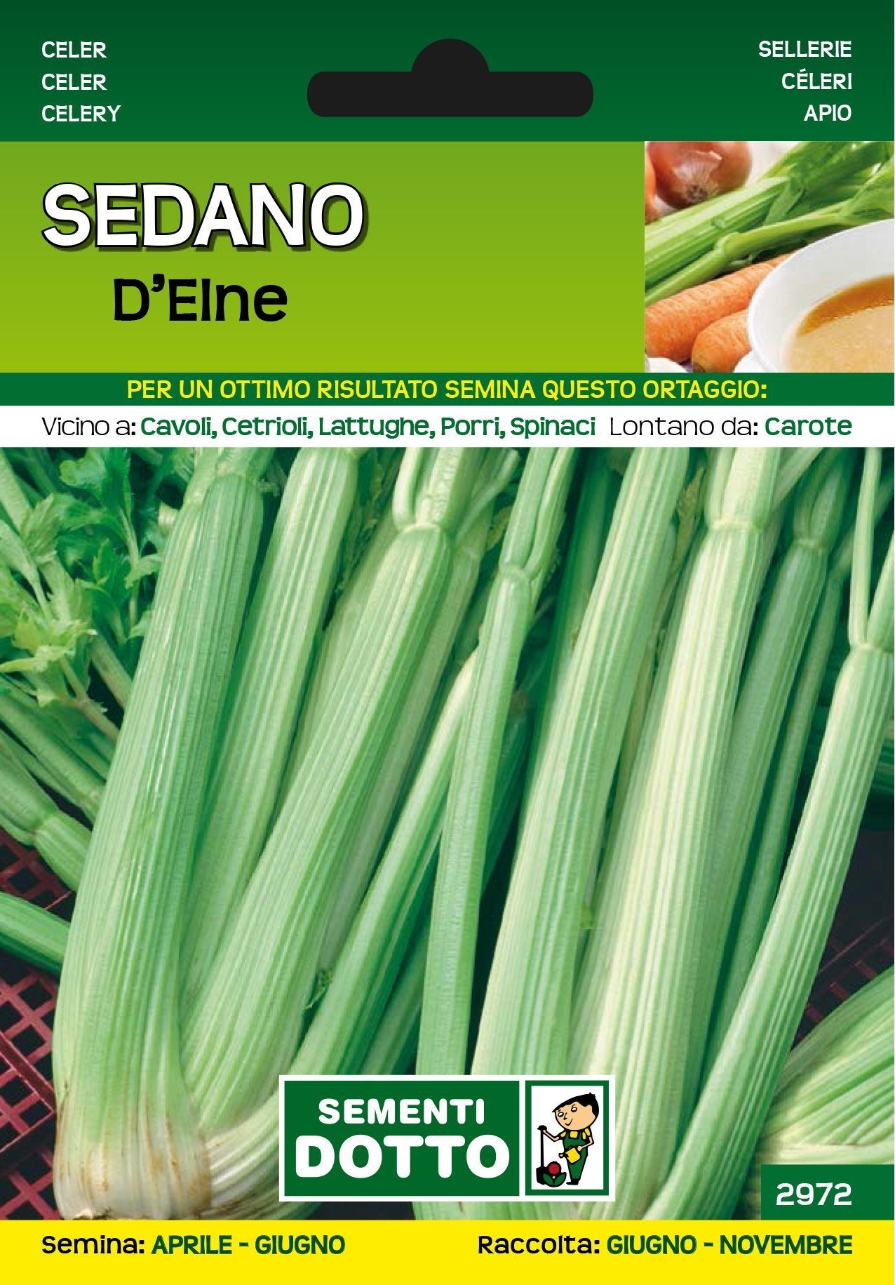 Sedano Verde d'Elne