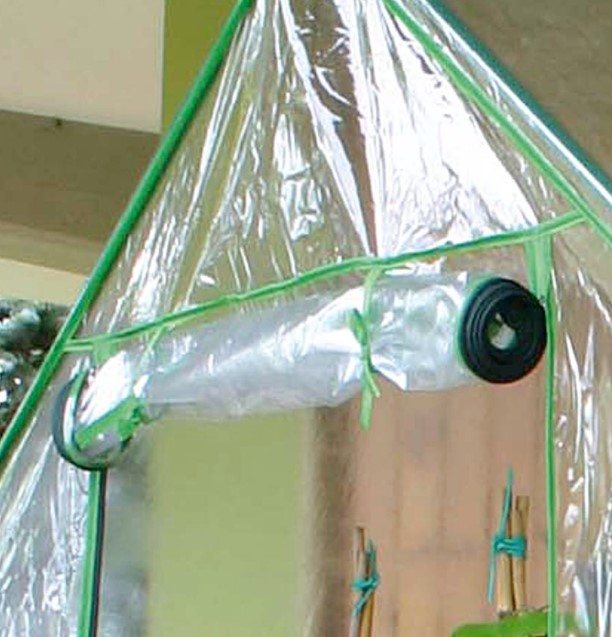 Serra Clematis - Giardango