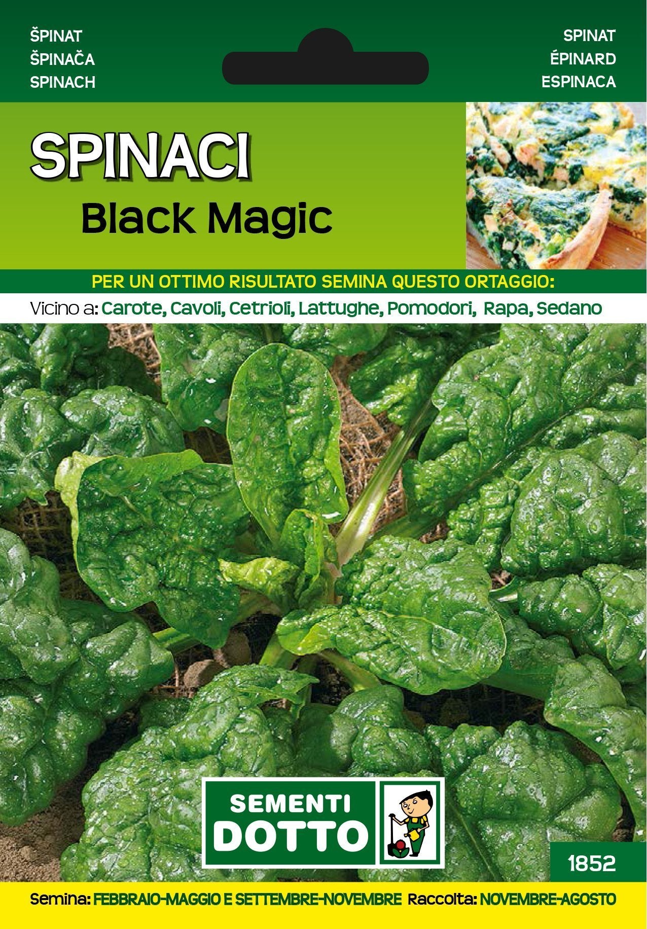 Spinacio Black Magic