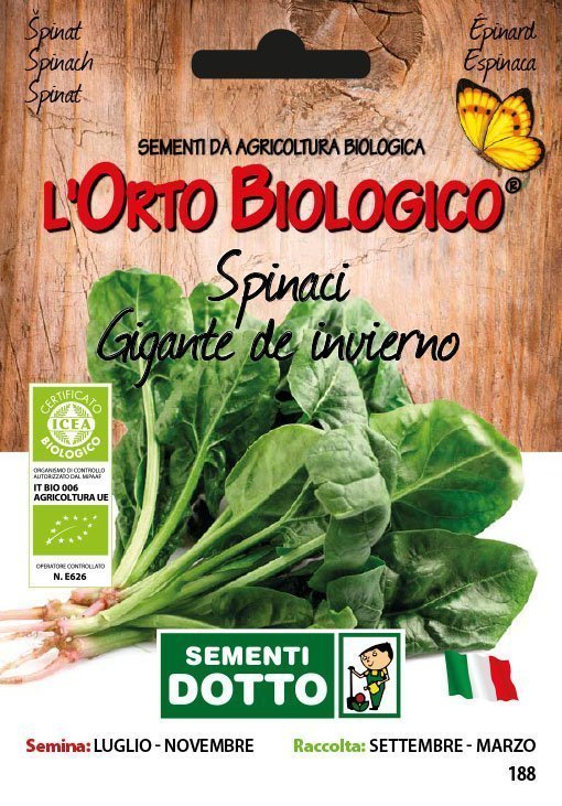 Spinaci Gigante de Invierno - Giardango