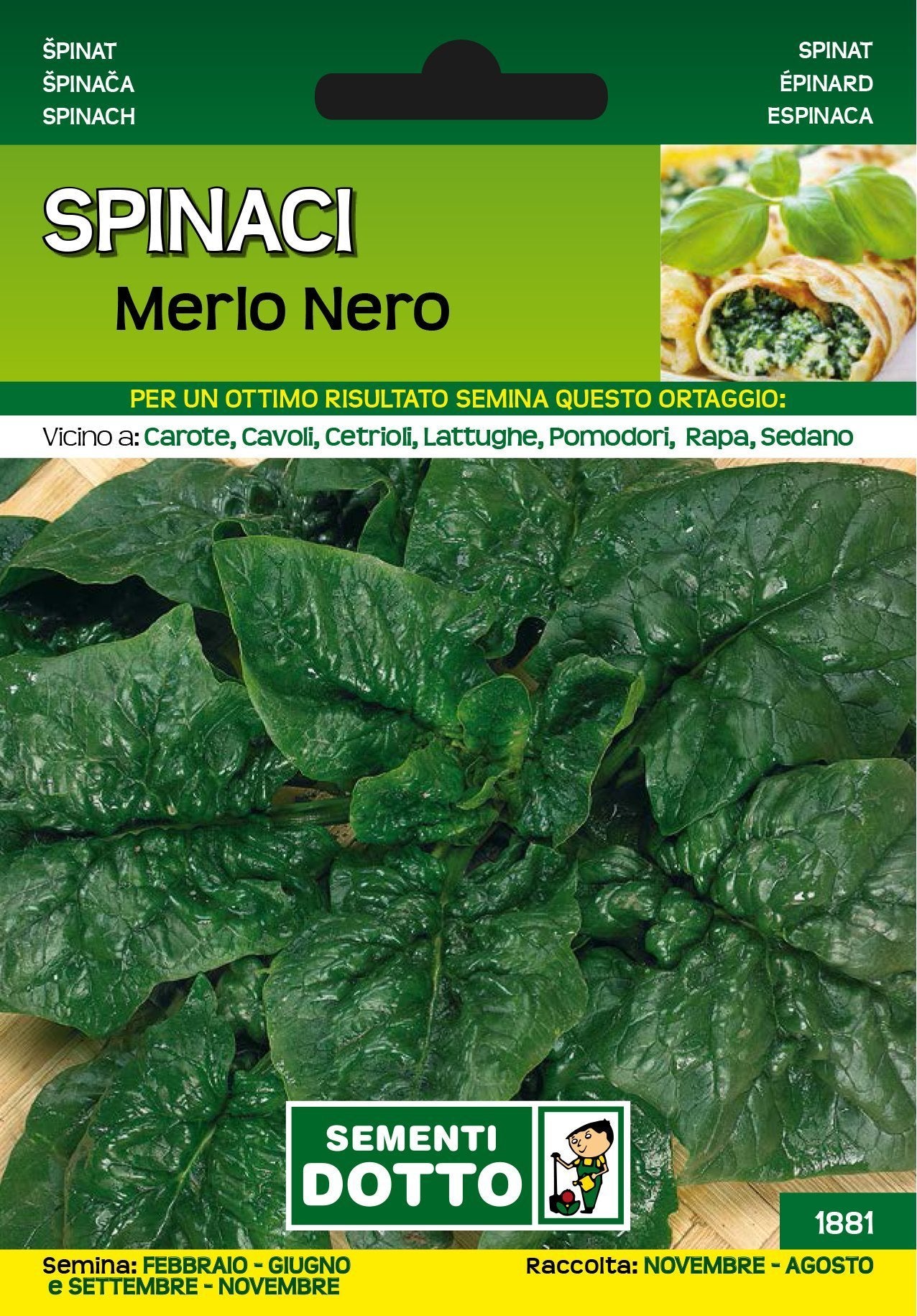 Spinacio Merlo Nero