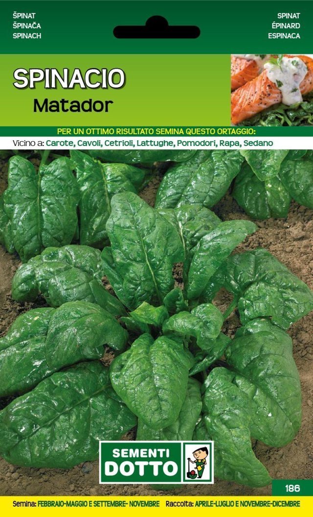 Spinacio Matador
