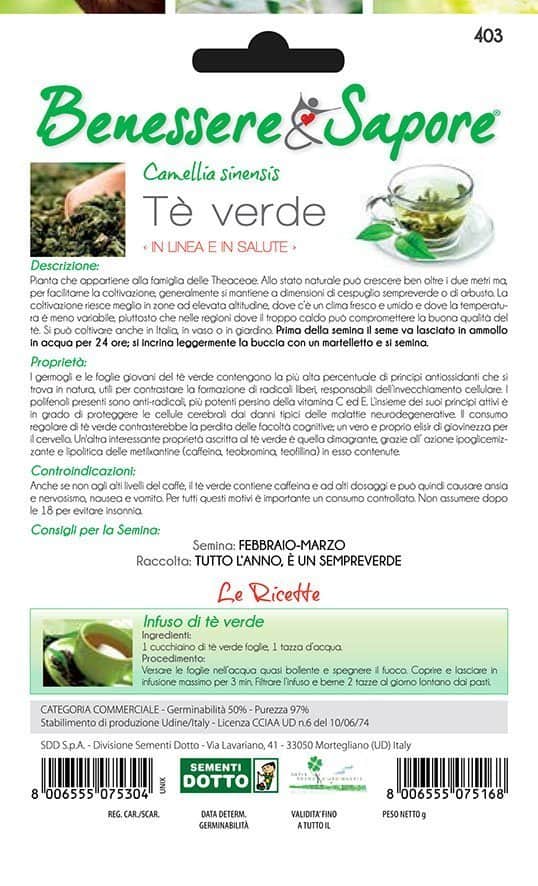 Te verde - Giardango