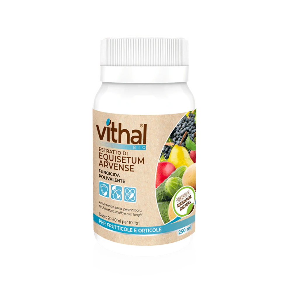 Vithal Fungicida Equisetum 250ml - Giardango