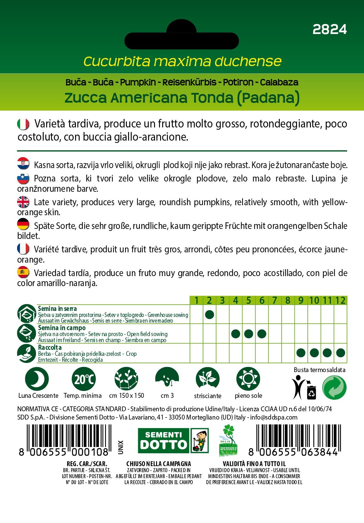 Zucca Americana Tonda