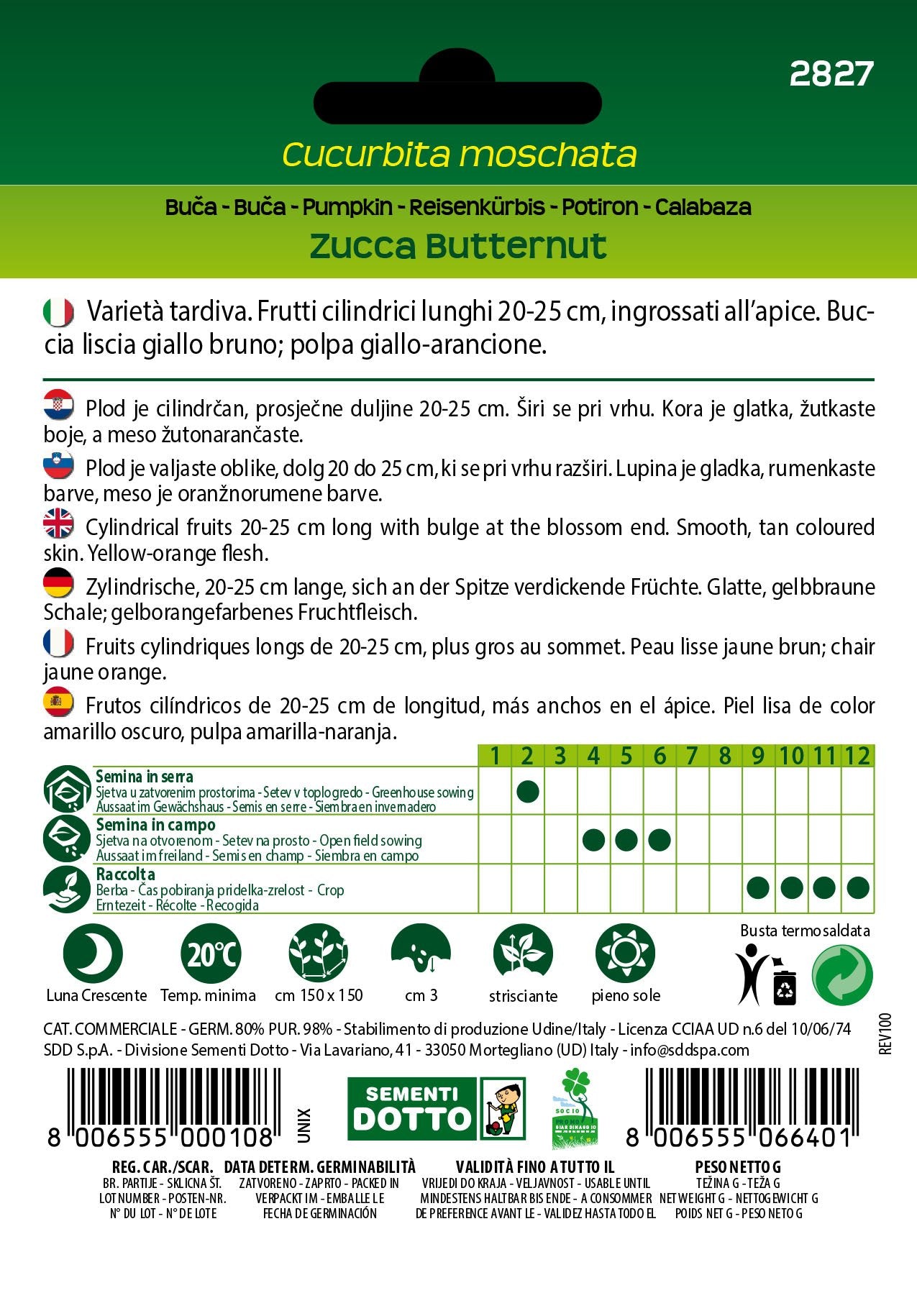 Zucca Butternut