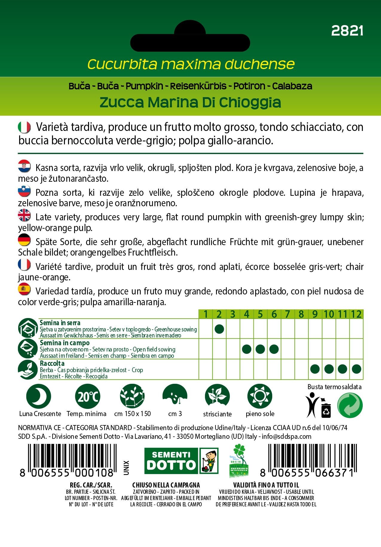 Zucca Marina di Chioggia