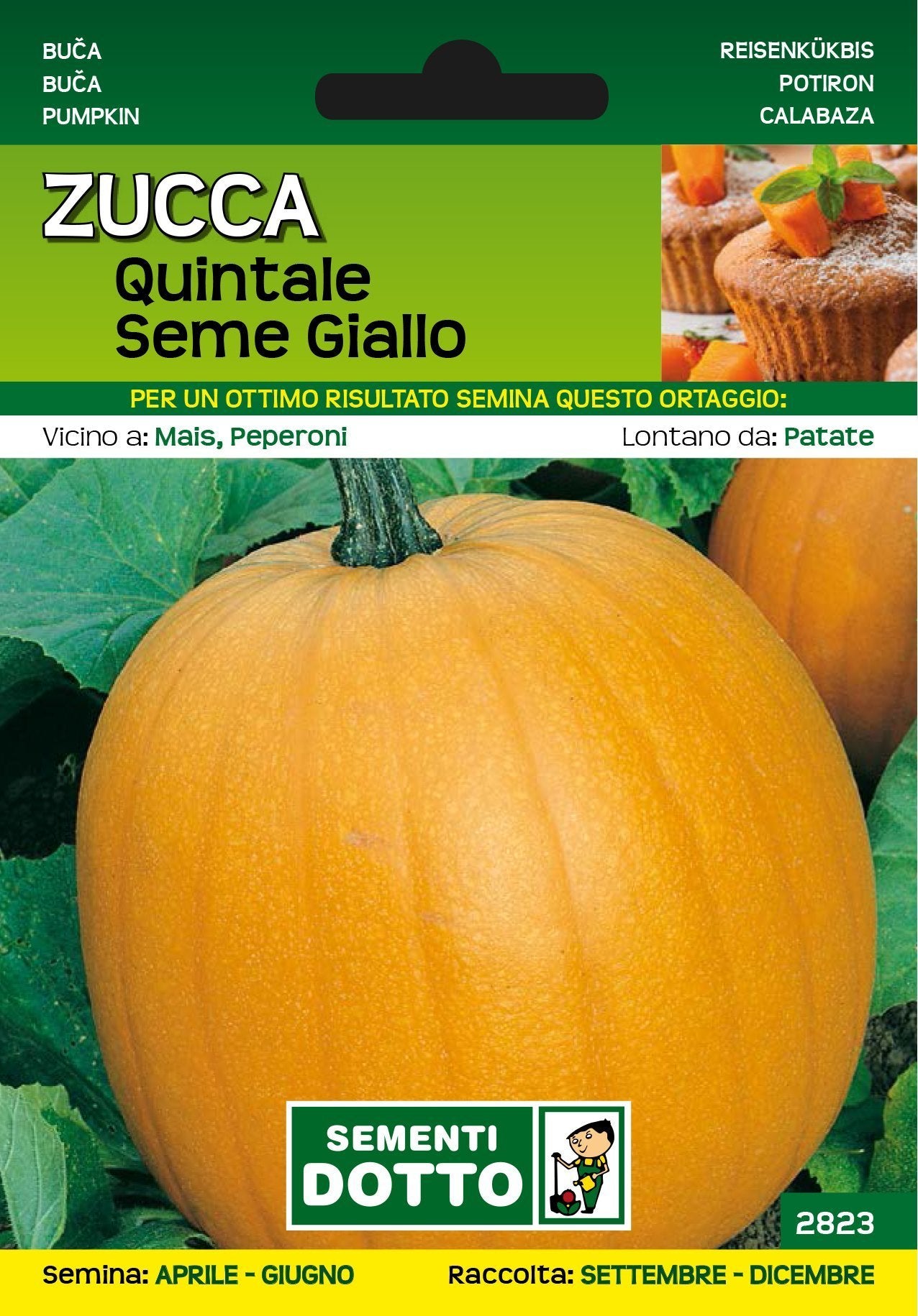 Zucca Quintale Seme Giallo