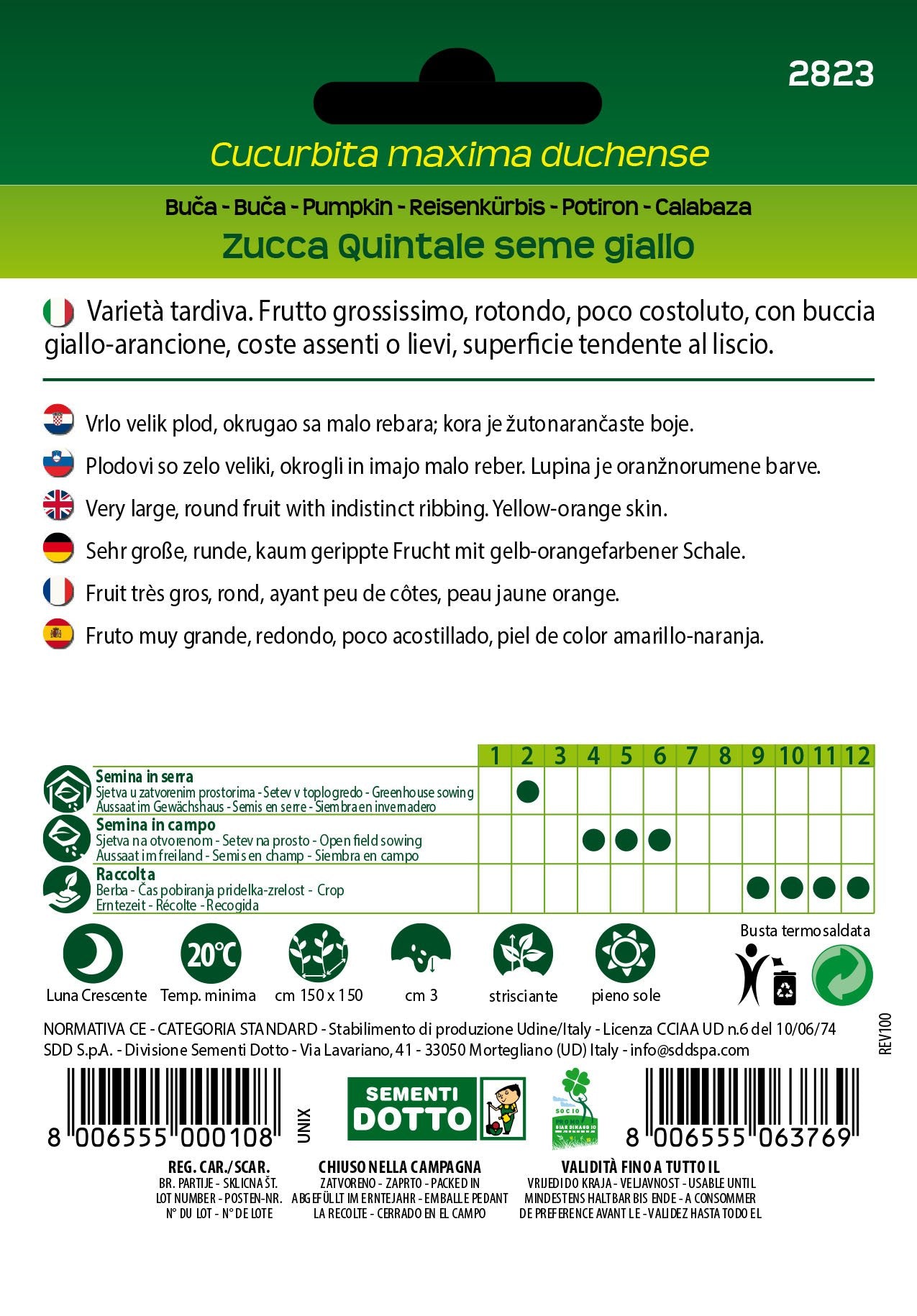 Zucca Quintale Seme Giallo