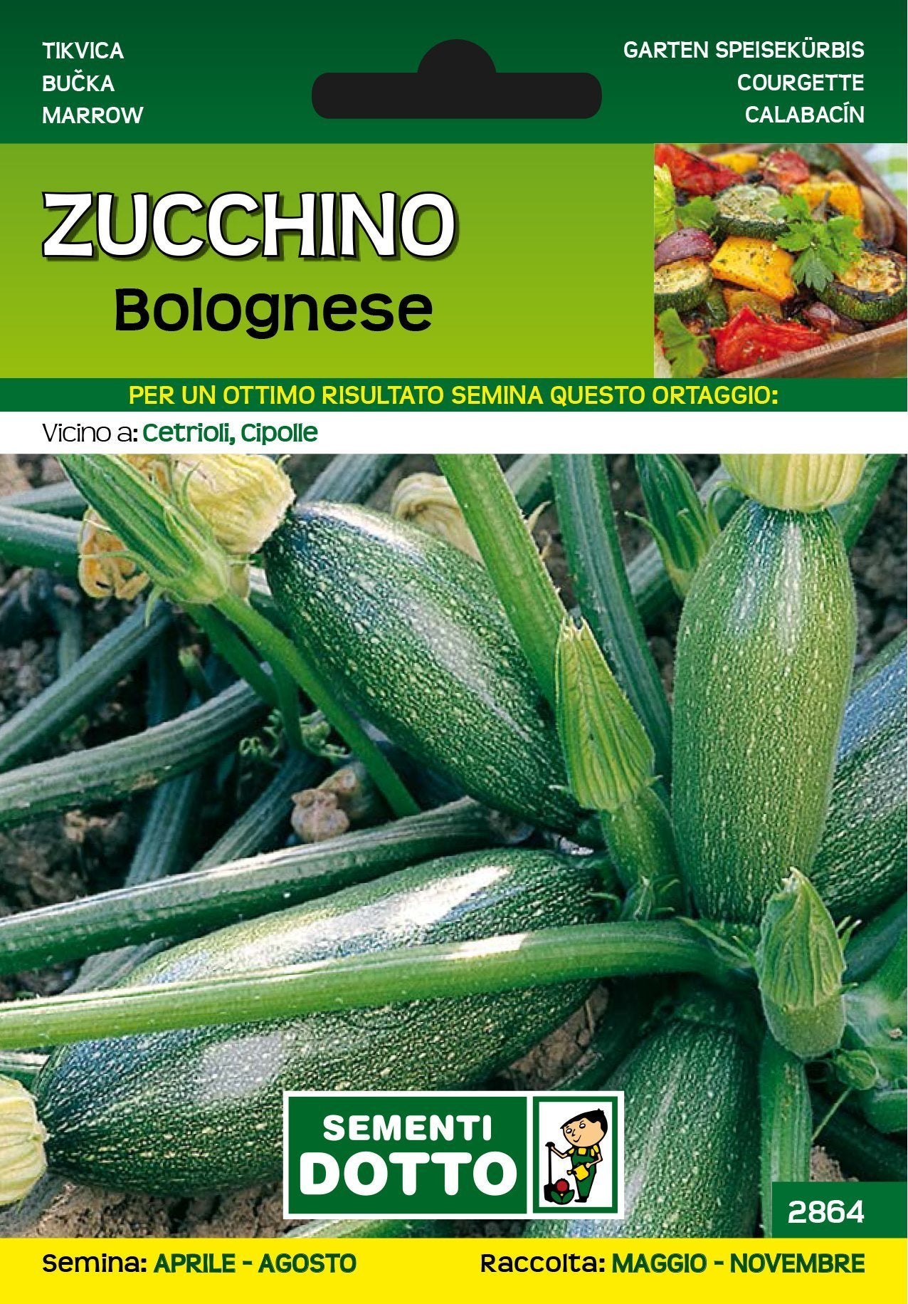 Zucchino Bolognese