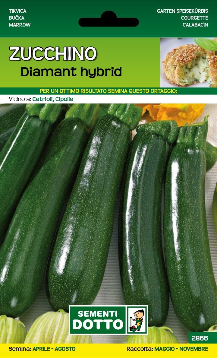 Zucchino Diamant Hybrid