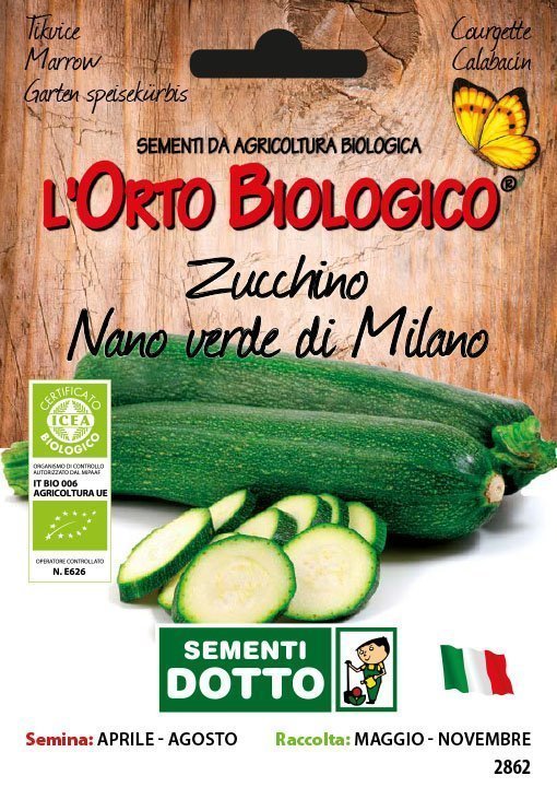Zucchino Nano Verde Milano - Giardango