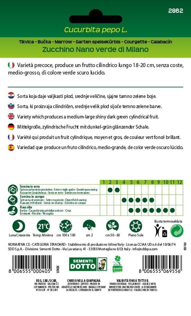 Zucchino Nano Verde di Milano