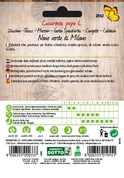Zucchino Nano Verde Milano - Giardango