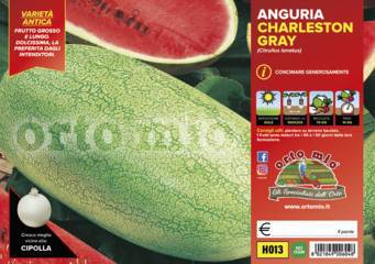 Anguria Lunga Charleston Gray