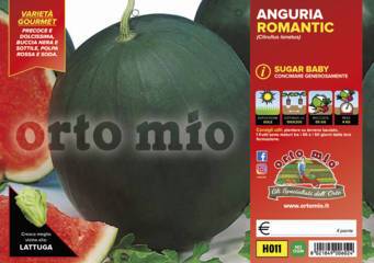 Anguria Scura Sugar Baby Red Star