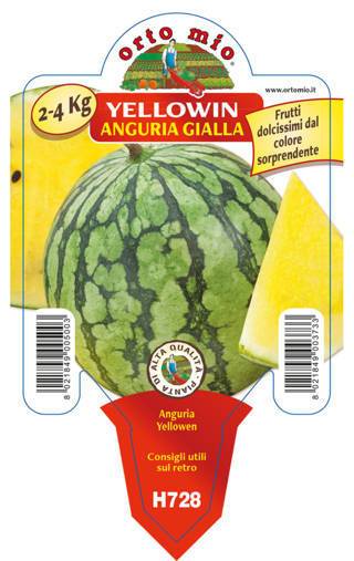 Anguria Gialla Yellowin