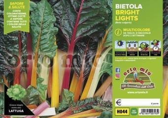Bietola Multicolore Bright Lights