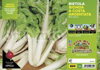 Bietola Bionda a costa argentata