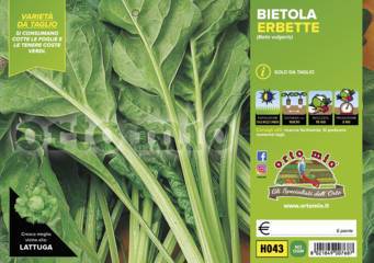 Bietola Erbetta Verde da Taglio