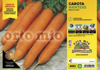 Carota Nantese Allyance