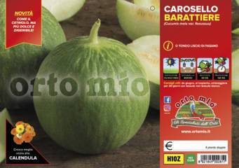 Cetriolo Carosello Barattiere o Tondo Di Fasano