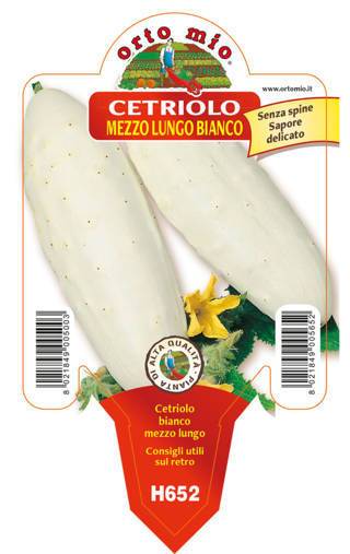 Cetriolo Mezzo Lungo Bianco