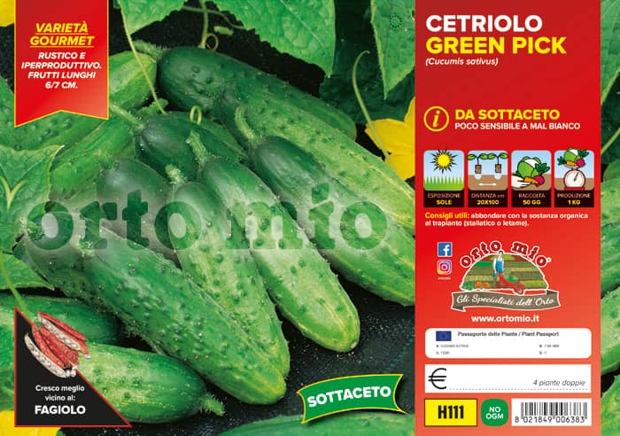 Cetriolo da Sottaceto Sonate