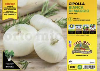 Cipolla Bianca Piatta di Maggio Vaschetta 12 Piantine