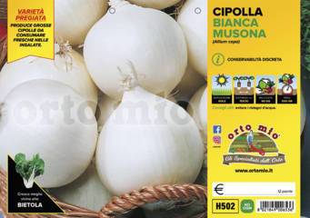 Cipolla Bianca Tonda Musona