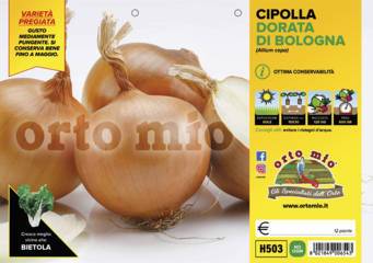 Cipolla Dorata di Bologna