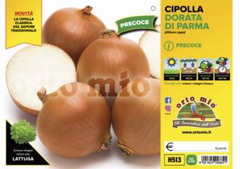 Cipolla Dorata di Parma precoce