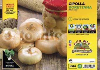 Cipolla Gialla Borettana da Sottaceto Vaschetta 12 Piantine