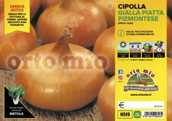 Cipolla Gialla Piatta Piemontese Vaschetta 12 Piantine