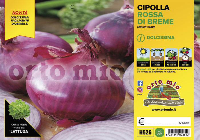 Cipolla Rossa di Breme Vaschetta 12 Piantine